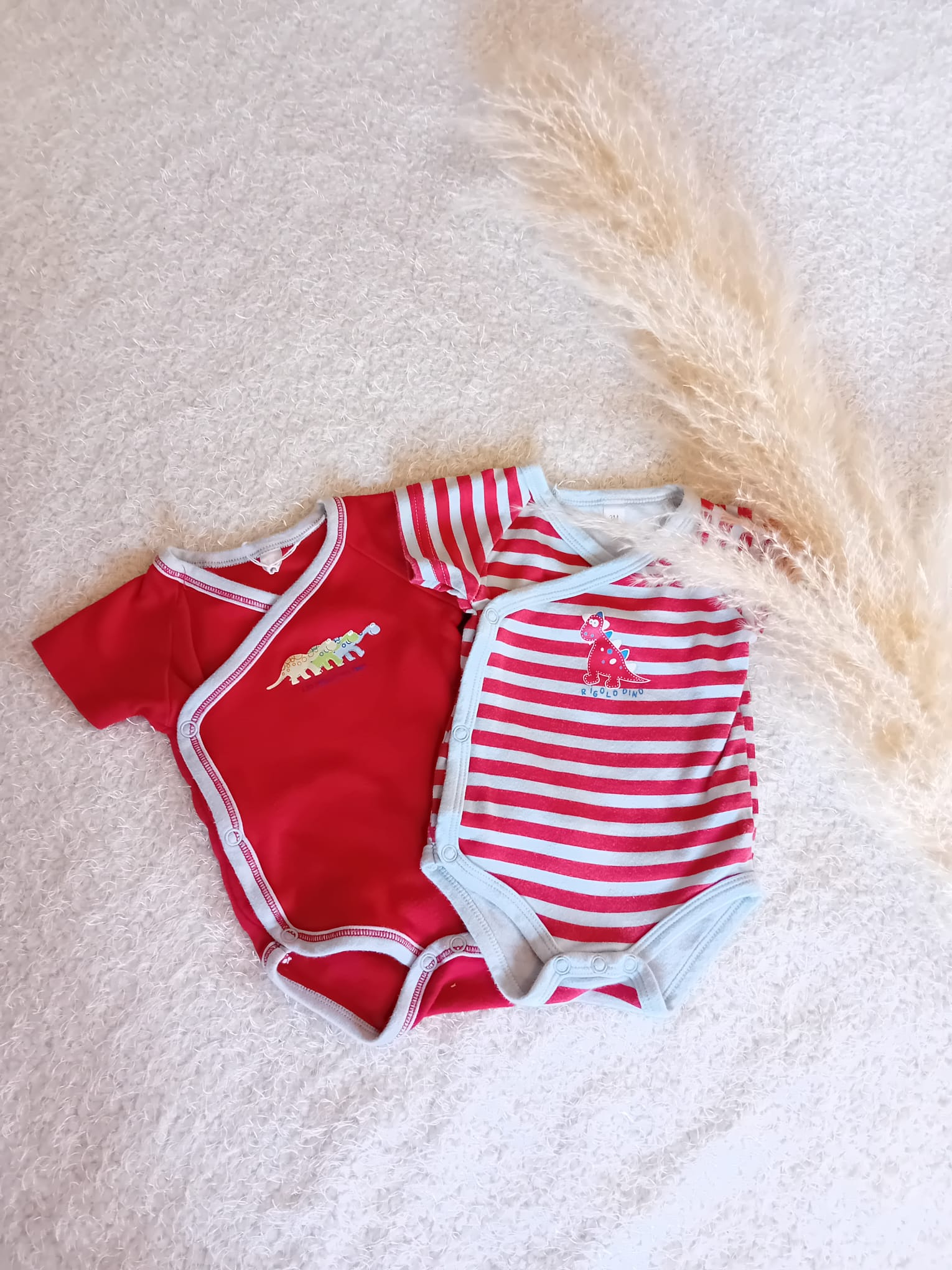 Lot de 2 bodies manches courtes 